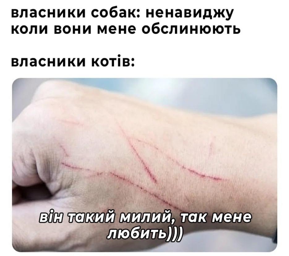 🐾 Анекдоти про тварин