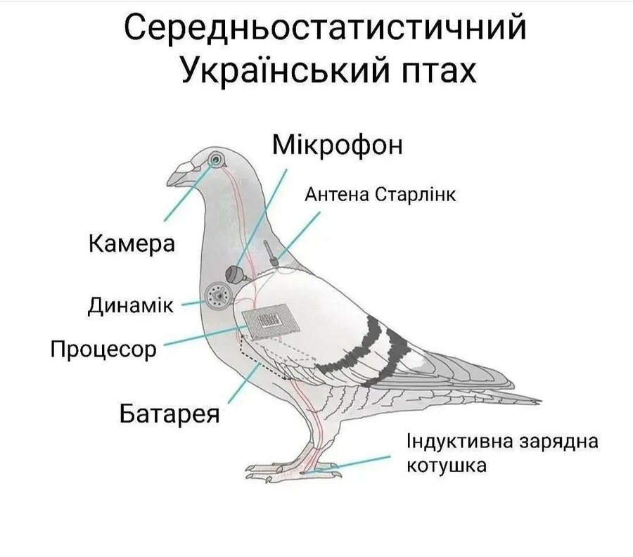 🚀 Анекдоти про Війну